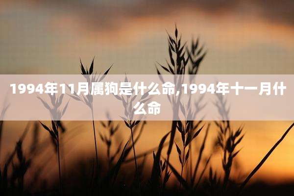 1994年11月属狗是什么命,1994年十一月什么命