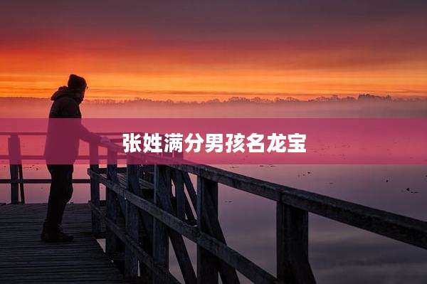 张姓满分男孩名龙宝