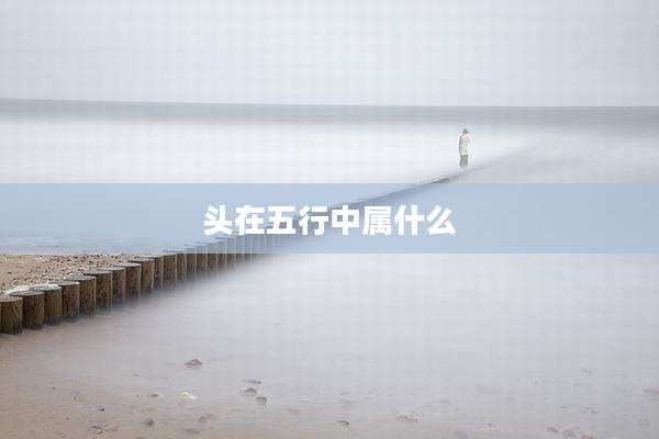 头在五行中属什么