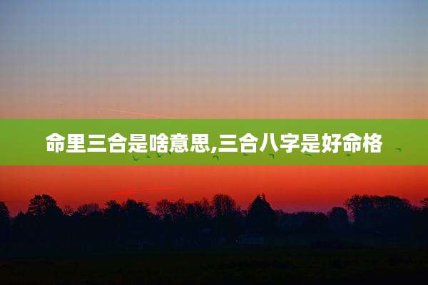 命里三合是啥意思,三合八字是好命格