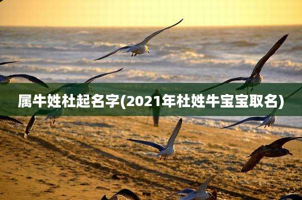 属牛姓杜起名字(2021年杜姓牛宝宝取名)