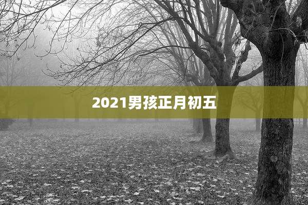 2021男孩正月初五