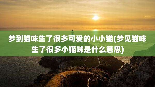 梦到猫咪生了很多可爱的小小猫(梦见猫咪生了很多小猫咪是什么意思)