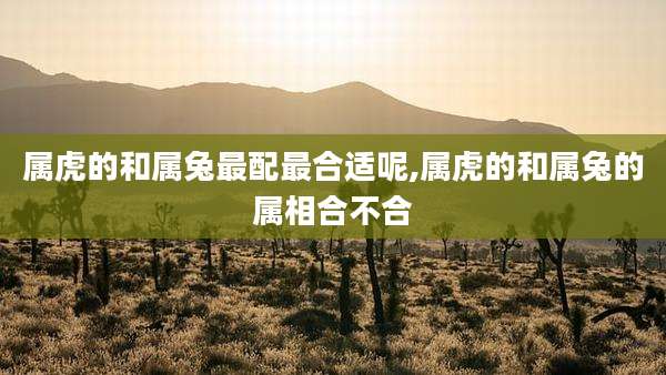 属虎的和属兔最配最合适呢,属虎的和属兔的属相合不合