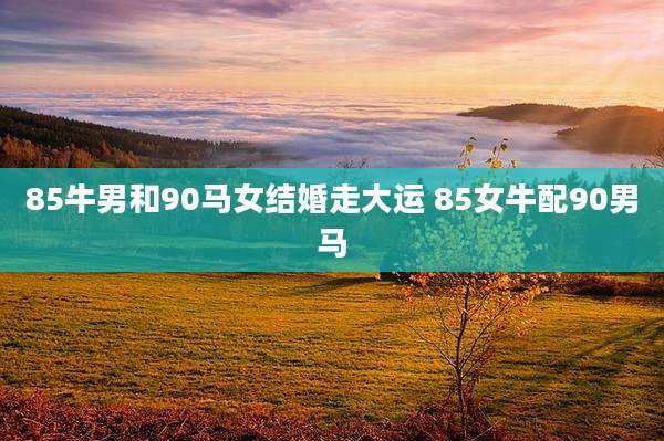 85牛男和90马女结婚走大运 85女牛配90男马