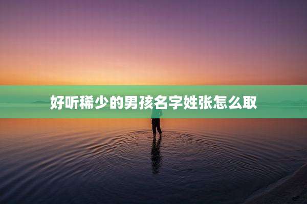 好听稀少的男孩名字姓张怎么取