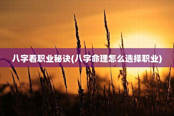 八字看职业秘诀(八字命理怎么选择职业)