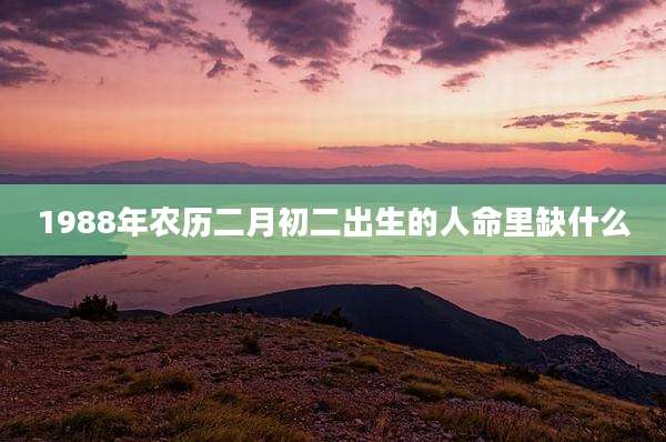 1988年农历二月初二出生的人命里缺什么