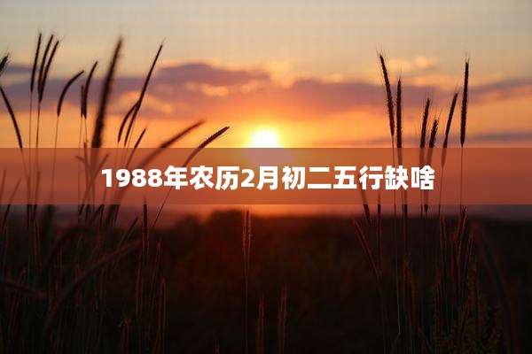 1988年农历2月初二五行缺啥