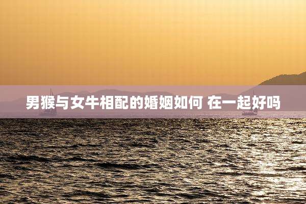 男猴与女牛相配的婚姻如何 在一起好吗