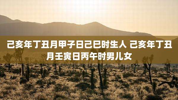 己亥年丁丑月甲子日己巳时生人 己亥年丁丑月壬寅日丙午时男儿女