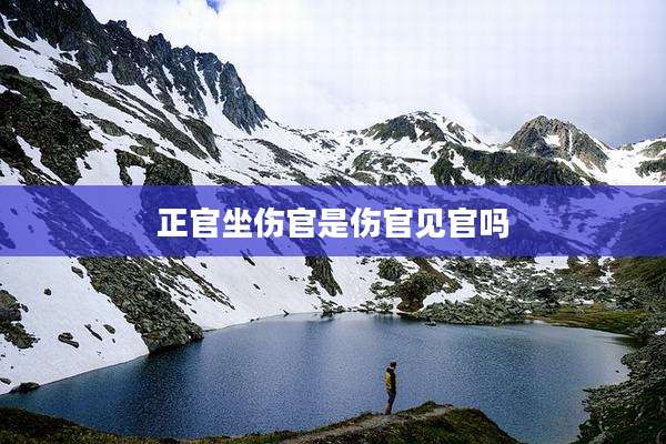 正官坐伤官是伤官见官吗