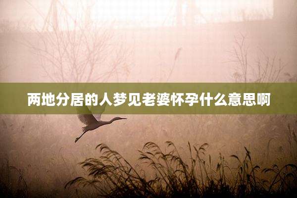 两地分居的人梦见老婆怀孕什么意思啊