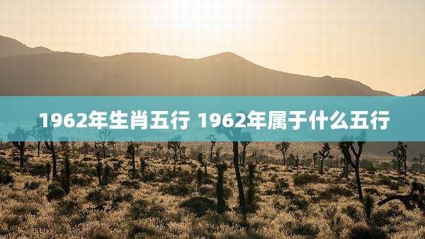 1962年生肖五行 1962年属于什么五行