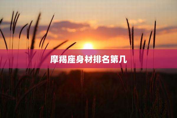 摩羯座身材排名第几