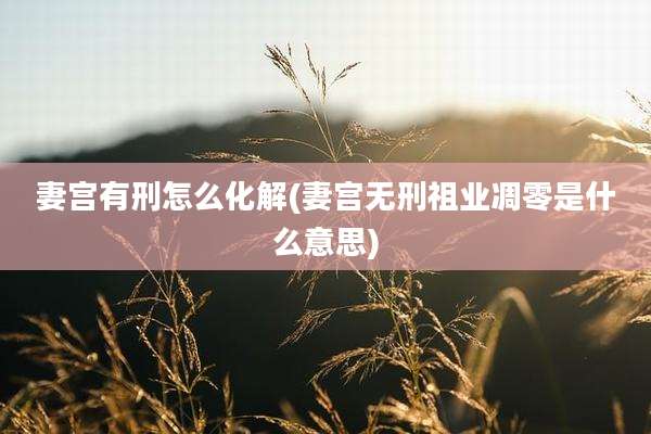 妻宫有刑怎么化解(妻宫无刑祖业凋零是什么意思)