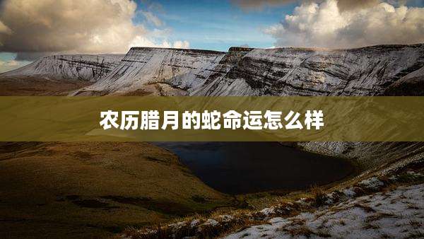 农历腊月的蛇命运怎么样