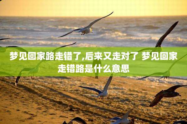 梦见回家路走错了,后来又走对了 梦见回家走错路是什么意思