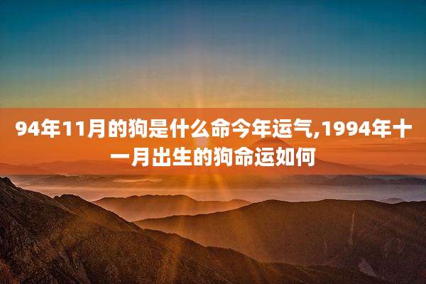 94年11月的狗是什么命今年运气,1994年十一月出生的狗命运如何