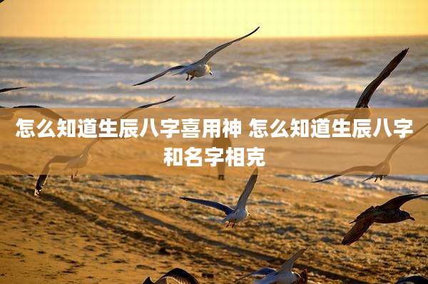 怎么知道生辰八字喜用神 怎么知道生辰八字和名字相克