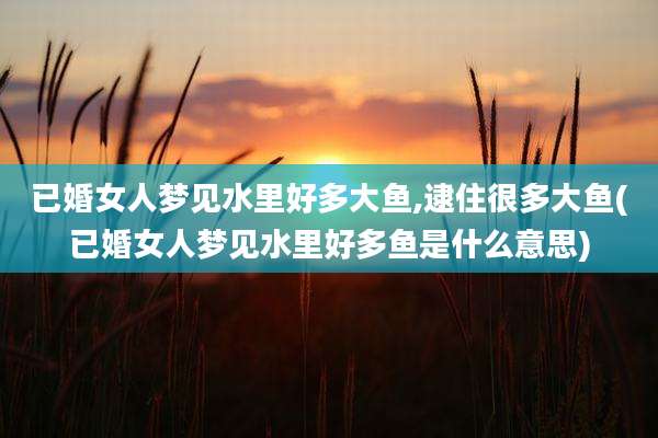 已婚女人梦见水里好多大鱼,逮住很多大鱼(已婚女人梦见水里好多鱼是什么意思)
