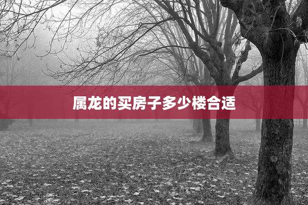 属龙的买房子多少楼合适