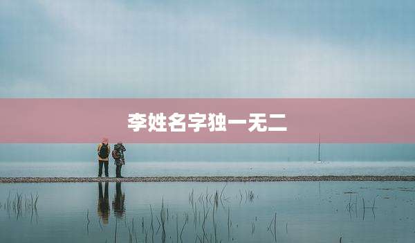 李姓名字独一无二