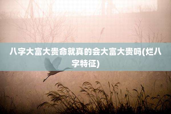 八字大富大贵命就真的会大富大贵吗(烂八字特征)