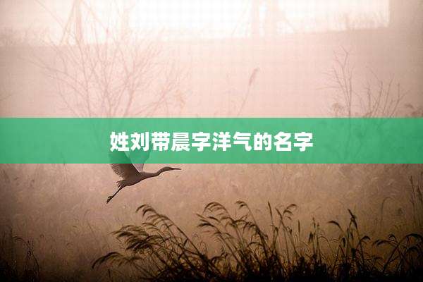 姓刘带晨字洋气的名字