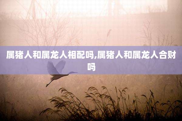 属猪人和属龙人相配吗,属猪人和属龙人合财吗