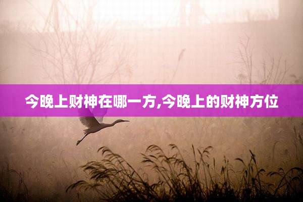 今晚上财神在哪一方,今晚上的财神方位