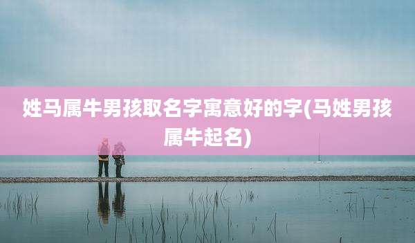 姓马属牛男孩取名字寓意好的字(马姓男孩属牛起名)