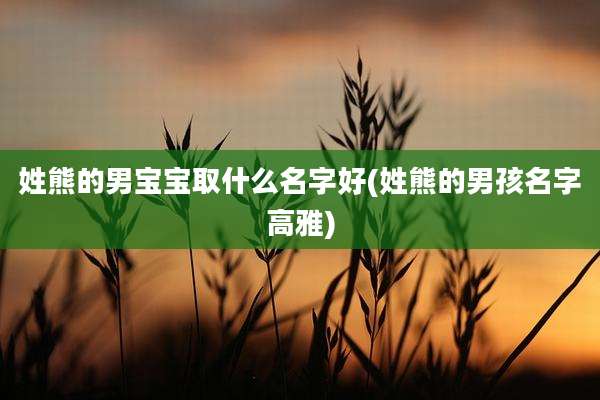姓熊的男宝宝取什么名字好(姓熊的男孩名字高雅)