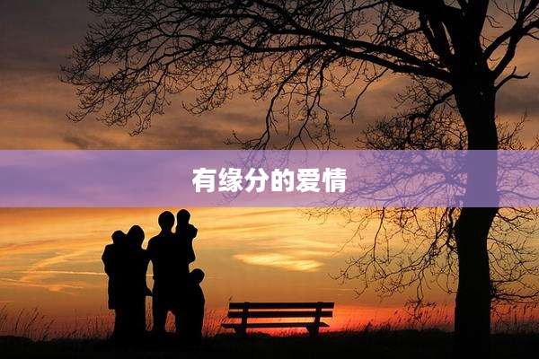 有缘分的爱情