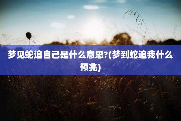 梦见蛇追自己是什么意思?(梦到蛇追我什么预兆)