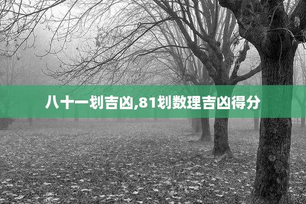 八十一划吉凶,81划数理吉凶得分