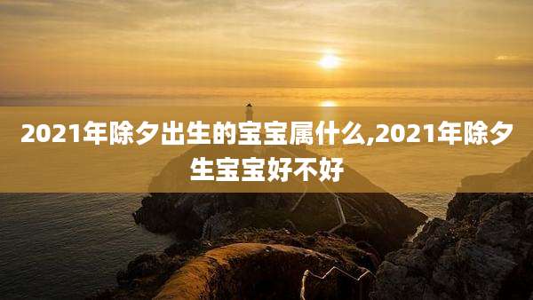 2021年除夕出生的宝宝属什么,2021年除夕生宝宝好不好