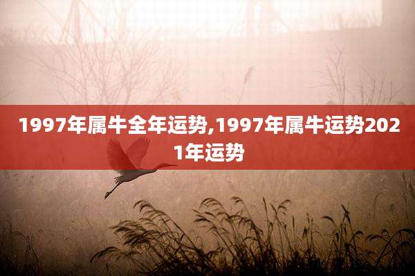 1997年属牛全年运势,1997年属牛运势2021年运势