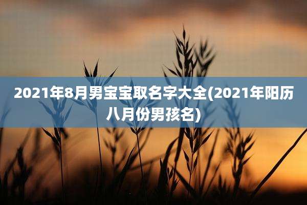 2021年8月男宝宝取名字大全(2021年阳历八月份男孩名)