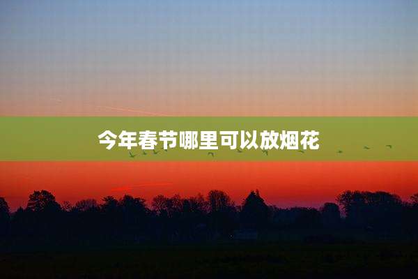 今年春节哪里可以放烟花