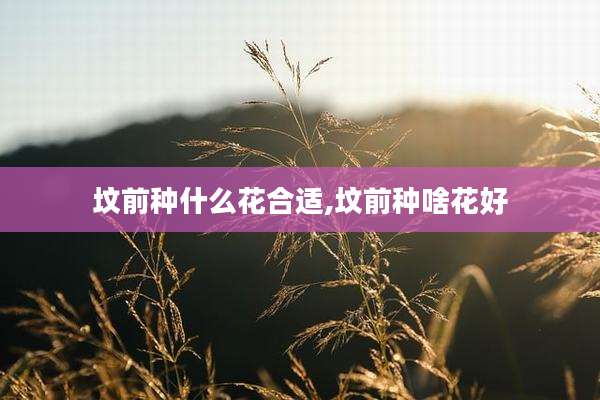 坟前种什么花合适,坟前种啥花好