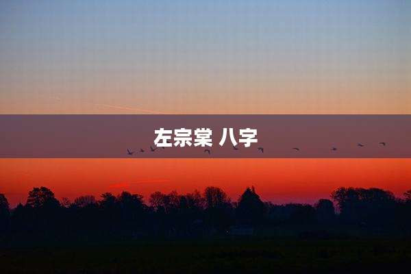 左宗棠 八字