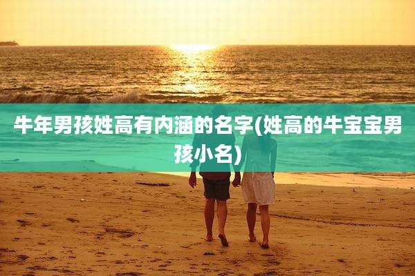 牛年男孩姓高有内涵的名字(姓高的牛宝宝男孩小名)