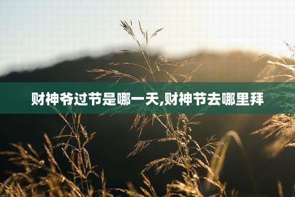财神爷过节是哪一天,财神节去哪里拜