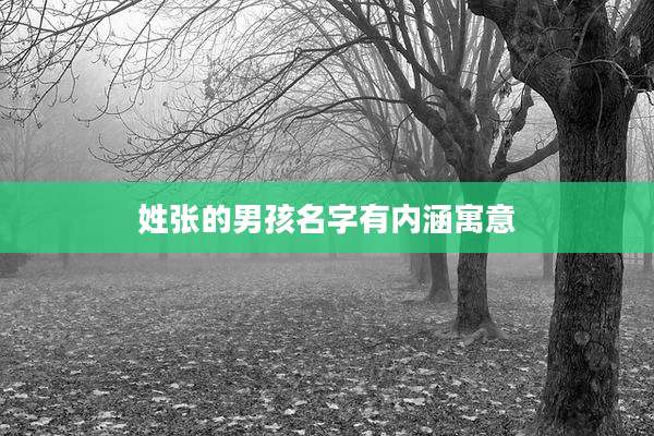 姓张的男孩名字有内涵寓意