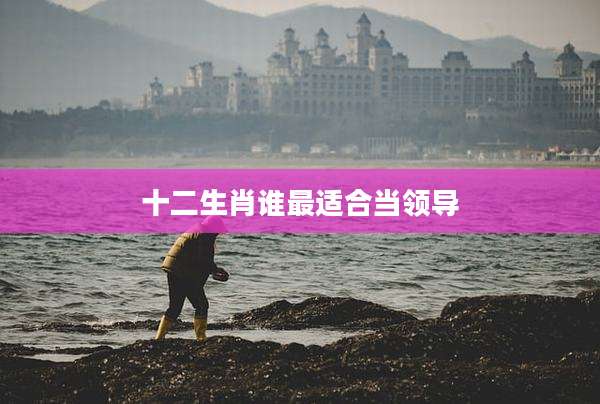 十二生肖谁最适合当领导