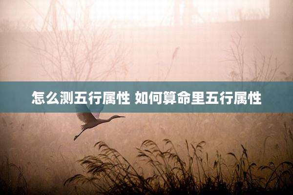 怎么测五行属性 如何算命里五行属性