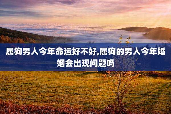 属狗男人今年命运好不好,属狗的男人今年婚姻会出现问题吗