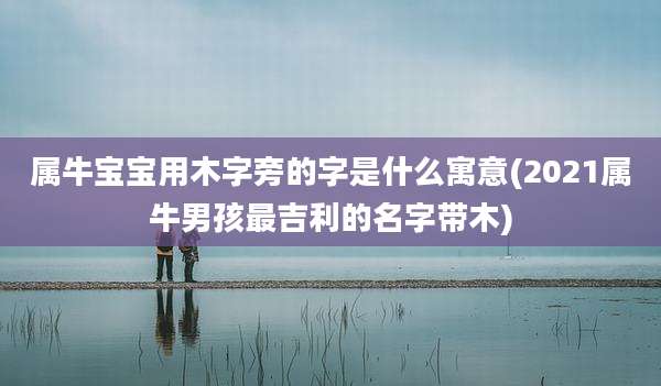 属牛宝宝用木字旁的字是什么寓意(2021属牛男孩最吉利的名字带木)