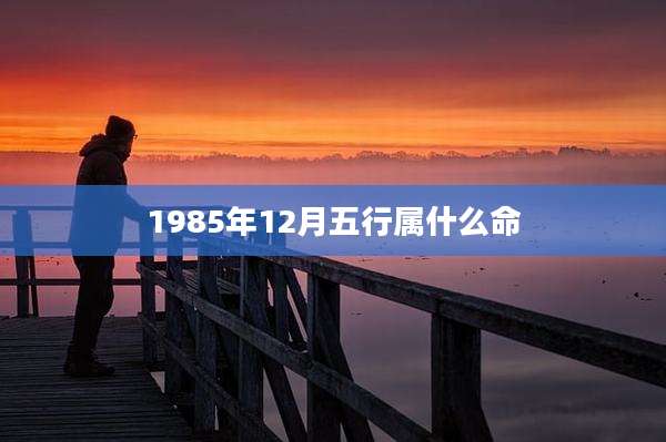 1985年12月五行属什么命